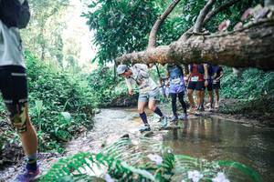 BIB: 
                            <button type="button" onclick="openModal(25464024)" class="btn btn-primary btn-sm float-right btn-popup" data-toggle="modal" data-target=".modal-high-quality">
                        <i class="fas fa-shopping-cart"></i> Add to Cart
                    </button>
                                            <button type="button" onclick="isThisMe(25464024, true)" class="btn btn-success btn-sm float-right btn-popup btn-isme hidden" data-toggle="tooltip" data-placement="bottom" title="นี่คือรูปของคุณใช่ไหม คลิกที่นี่เพื่อเอาเข้าอัลบั้ม">
                        <i class="fas fa-plus"></i> Add to album
                    </button>
                    <button type="button" onclick="isThisMe(25464024, false)" class="btn btn-warning btn-sm float-right btn-popup btn-isnotme hidden">
                        <i class="fas fa-ban"></i> Remove from album
                    </button>